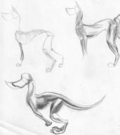 claws creature dog doodle guidelines monster muscles pencil pencil_sketch quadruped skeleton sketch // 1796x2012 // 2.4MB