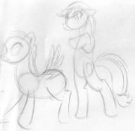 doodle pony reference // 1080x1052 // 135.0KB