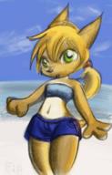 FIP author_like background beach blonde_hair clouds green_eyes long_ears open_mouth shorts sky // 295x460 // 48.3KB